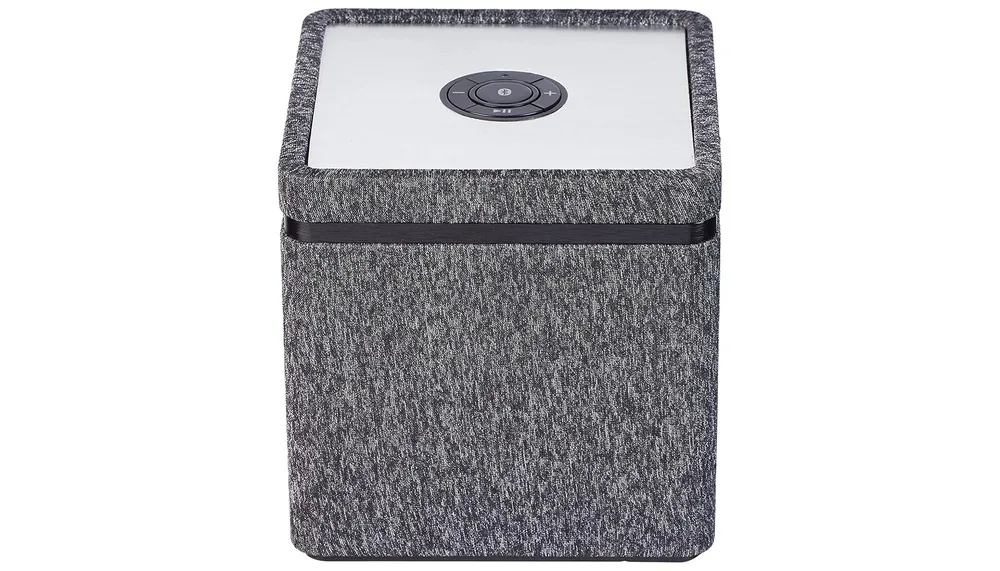 Terris CCS 282 Speaker